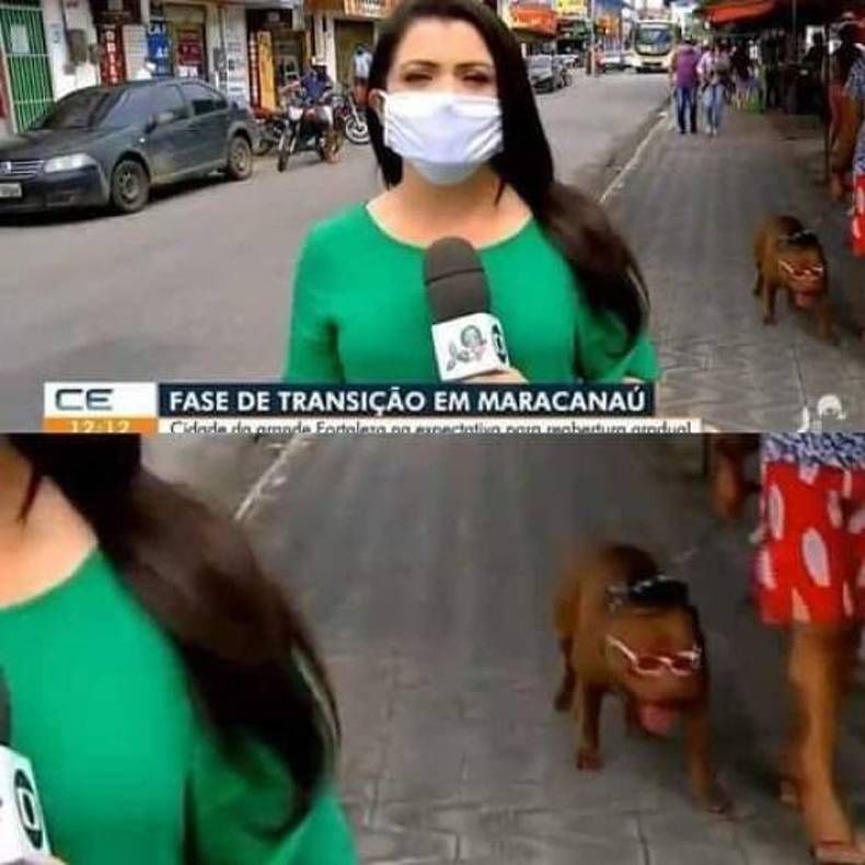 Gewoon een verzameling hilarische foto's #1438