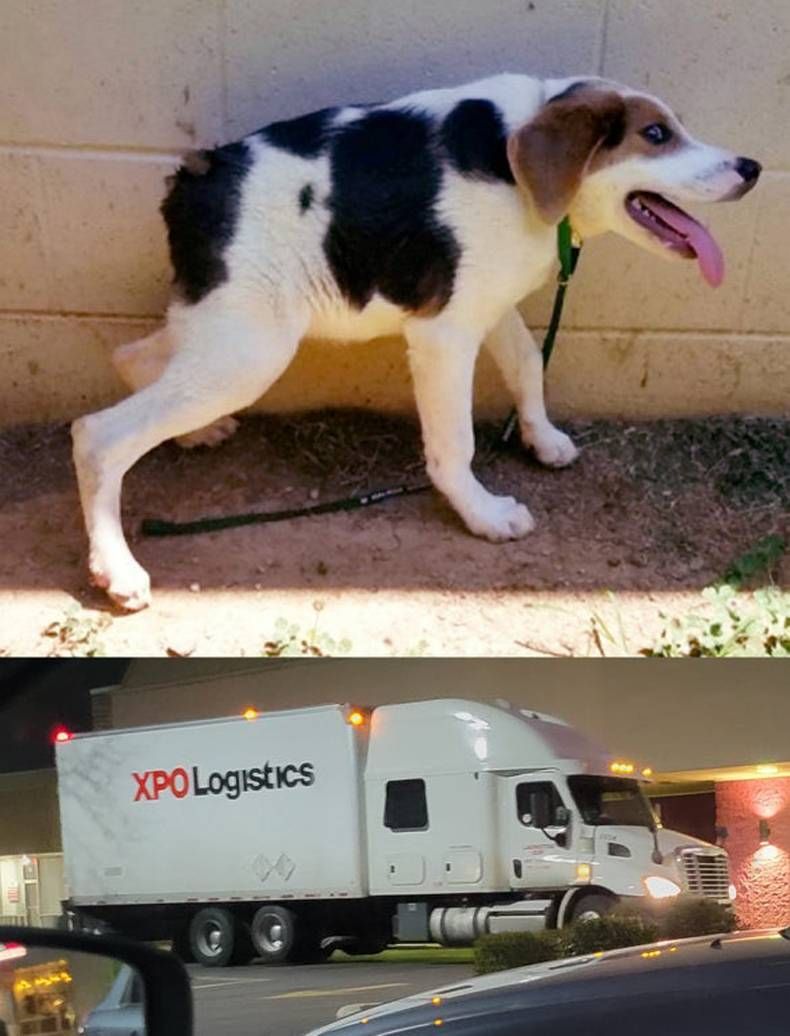 Gewoon een verzameling hilarische foto's #1432