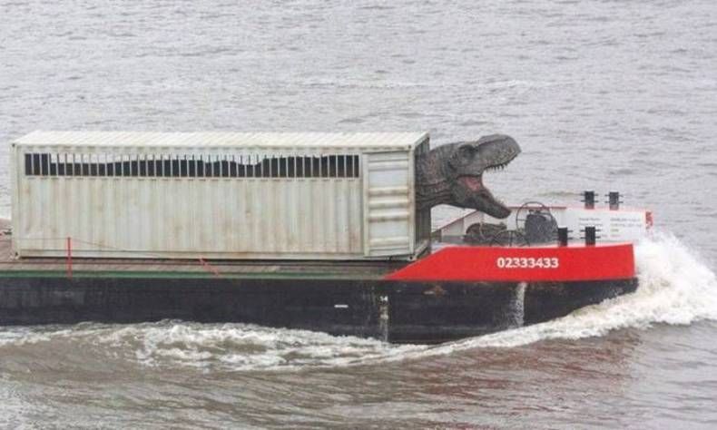 Gewoon een verzameling hilarische foto's #1394