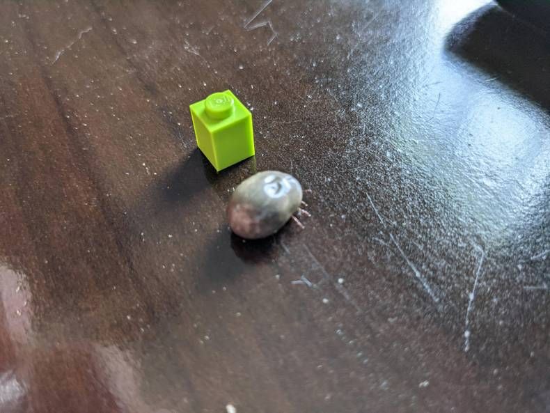 Gewoon een verzameling hilarische foto's #1436