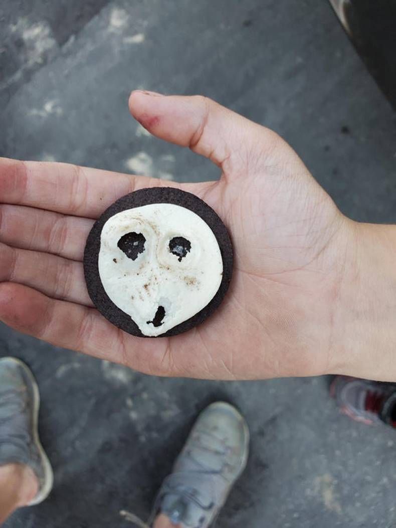 Gewoon een verzameling hilarische foto's #1466