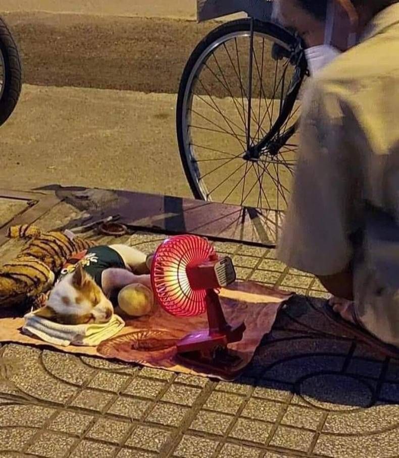 Gewoon een verzameling hilarische foto's #1466