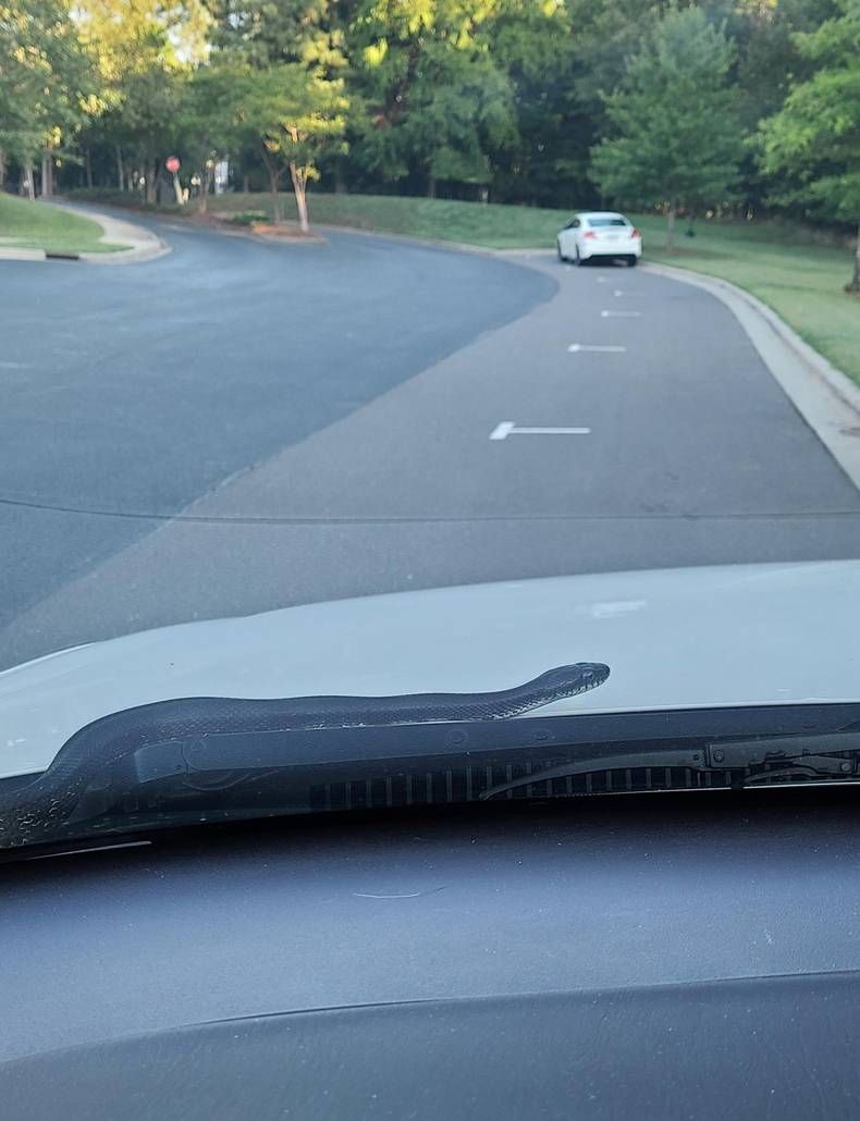 Gewoon een verzameling hilarische foto's #1468