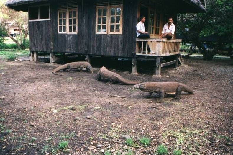 Gewoon een verzameling hilarische foto's #1444