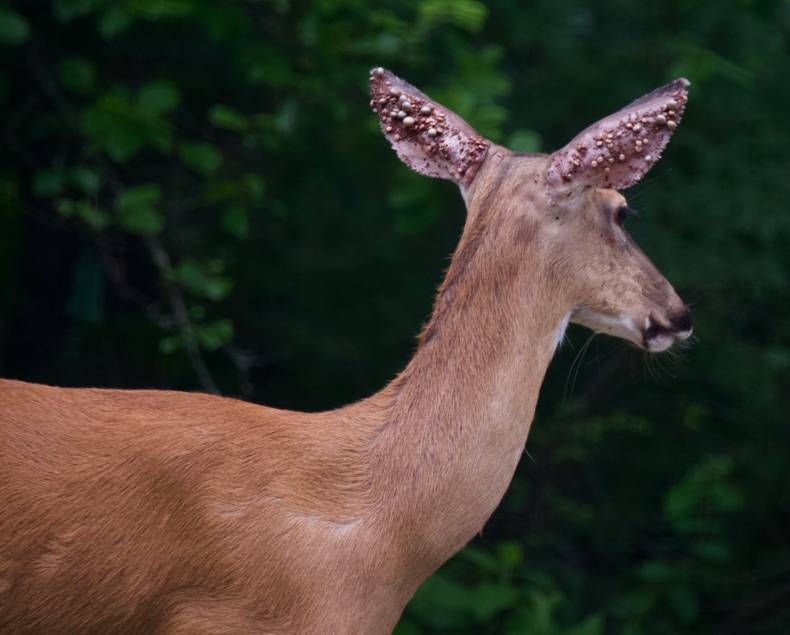 Gewoon een verzameling hilarische foto's #1449