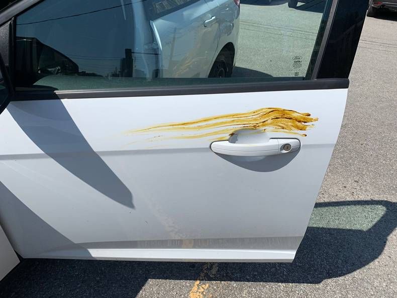 Gewoon een verzameling hilarische foto's #1466