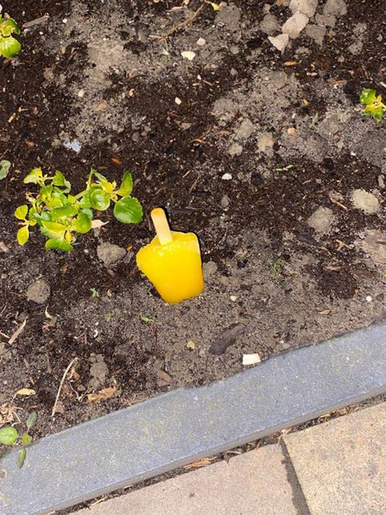 Gewoon een verzameling hilarische foto's #1438