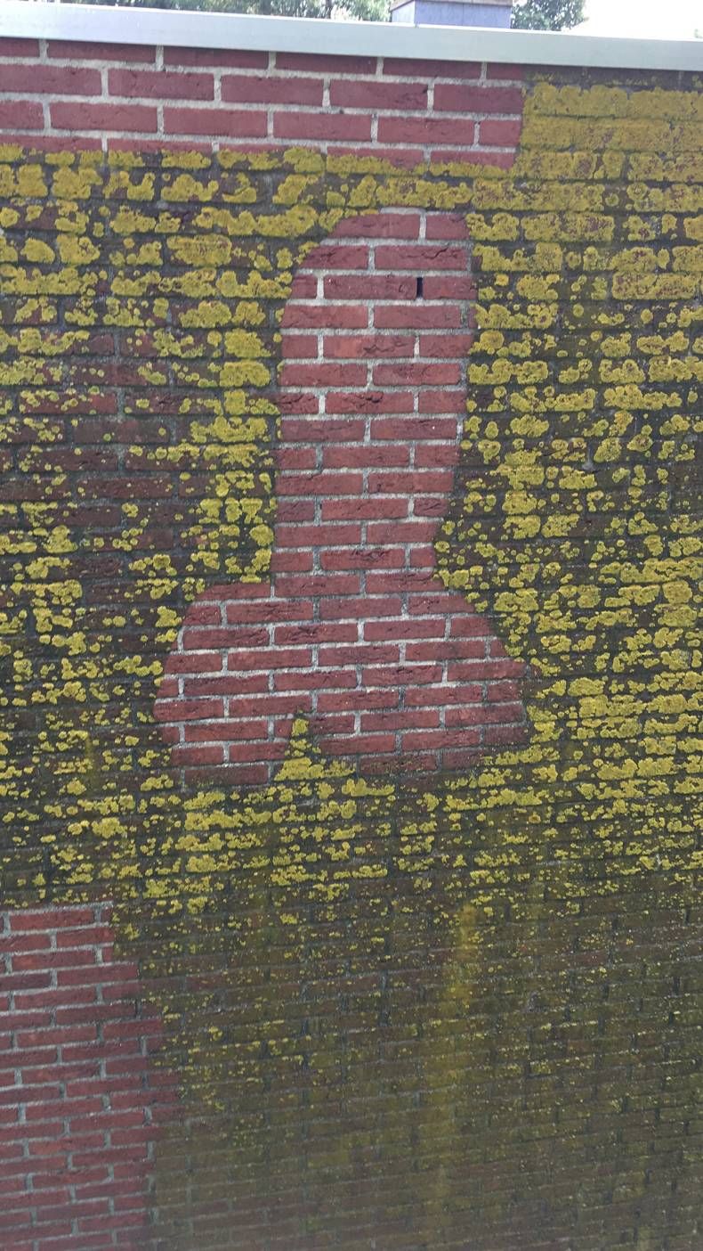 Gewoon een verzameling hilarische foto's #1475