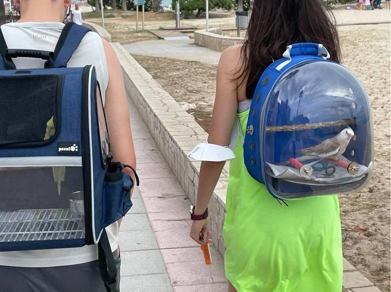 Gewoon een verzameling hilarische foto's #1475