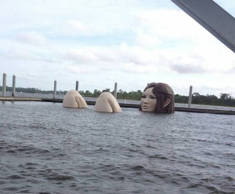 Gewoon een verzameling hilarische foto's #1473