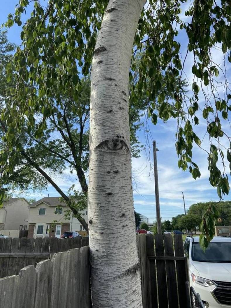 Gewoon een verzameling hilarische foto's #1447