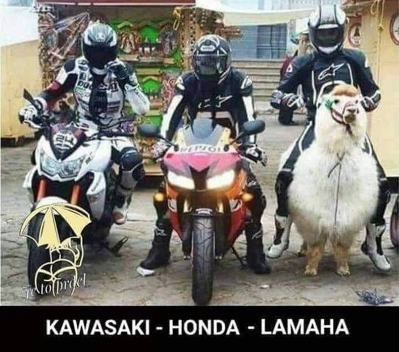 Gewoon een verzameling hilarische foto's #1420