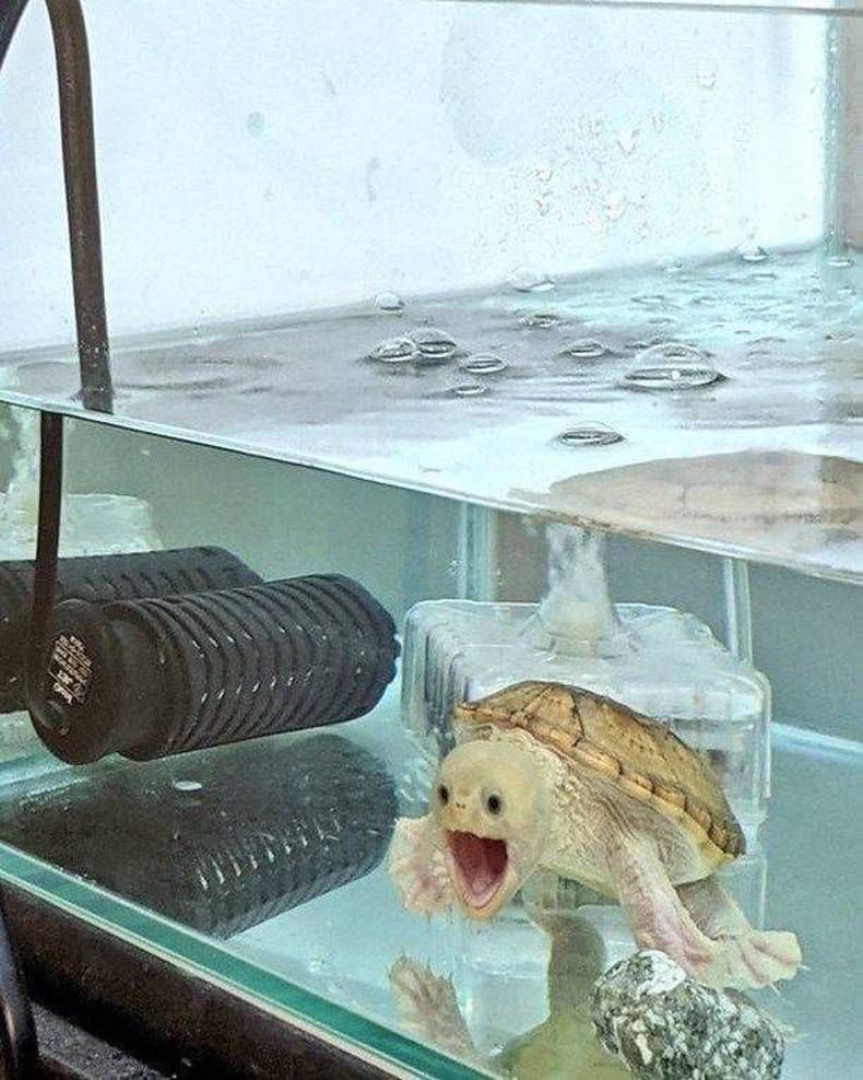 Gewoon een verzameling hilarische foto's #1393