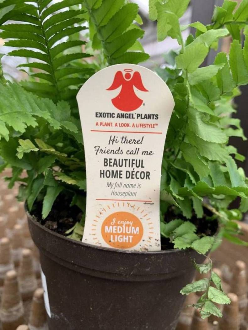 Gewoon een verzameling hilarische foto's #1432