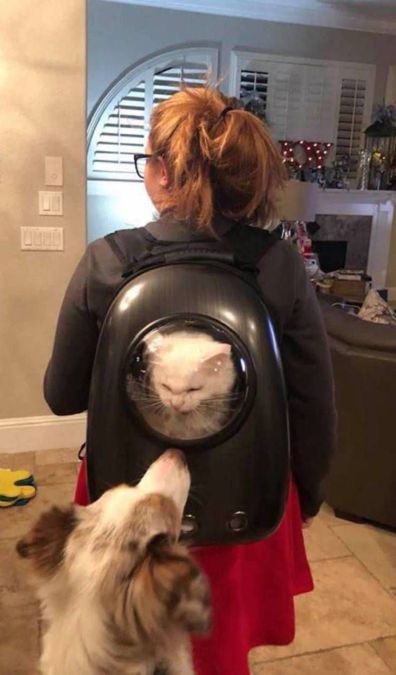 Gewoon een verzameling hilarische foto's #1386