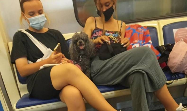 Gewoon een verzameling hilarische foto's #1479