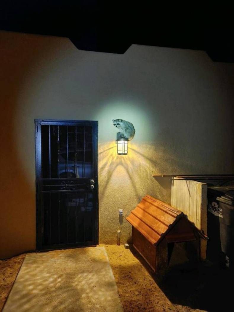 Gewoon een verzameling hilarische foto's #1445