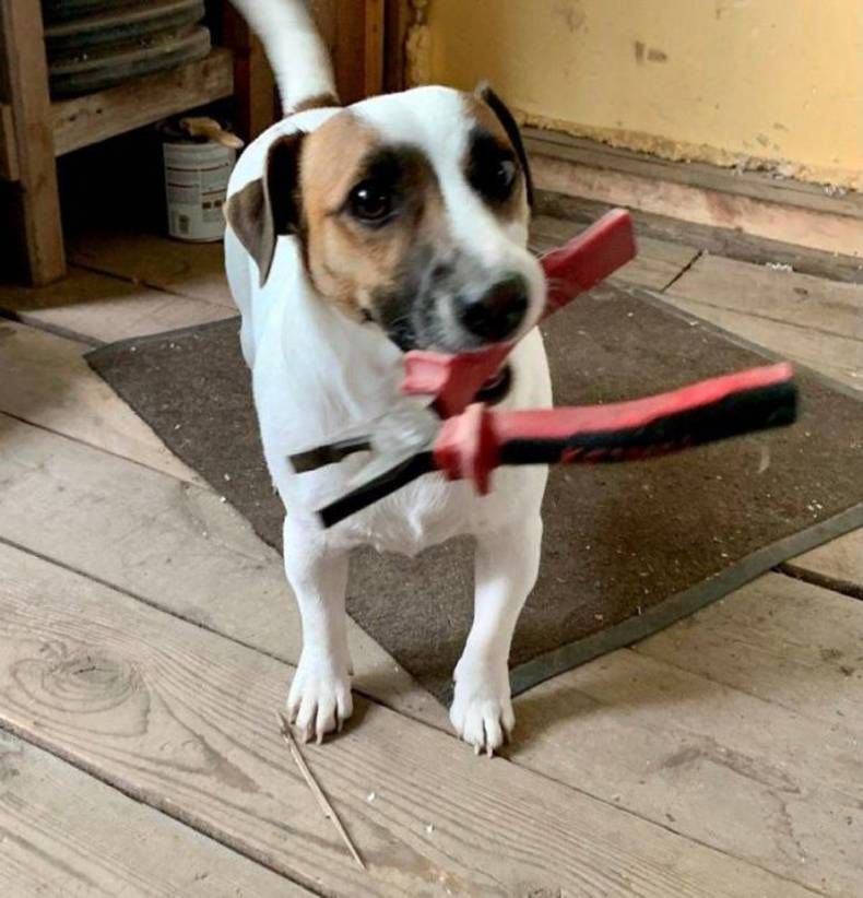 Gewoon een verzameling hilarische foto's #1469