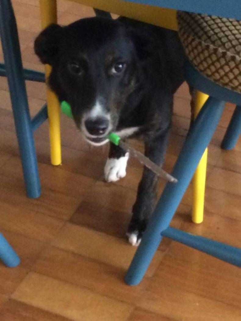 Gewoon een verzameling hilarische foto's #1432