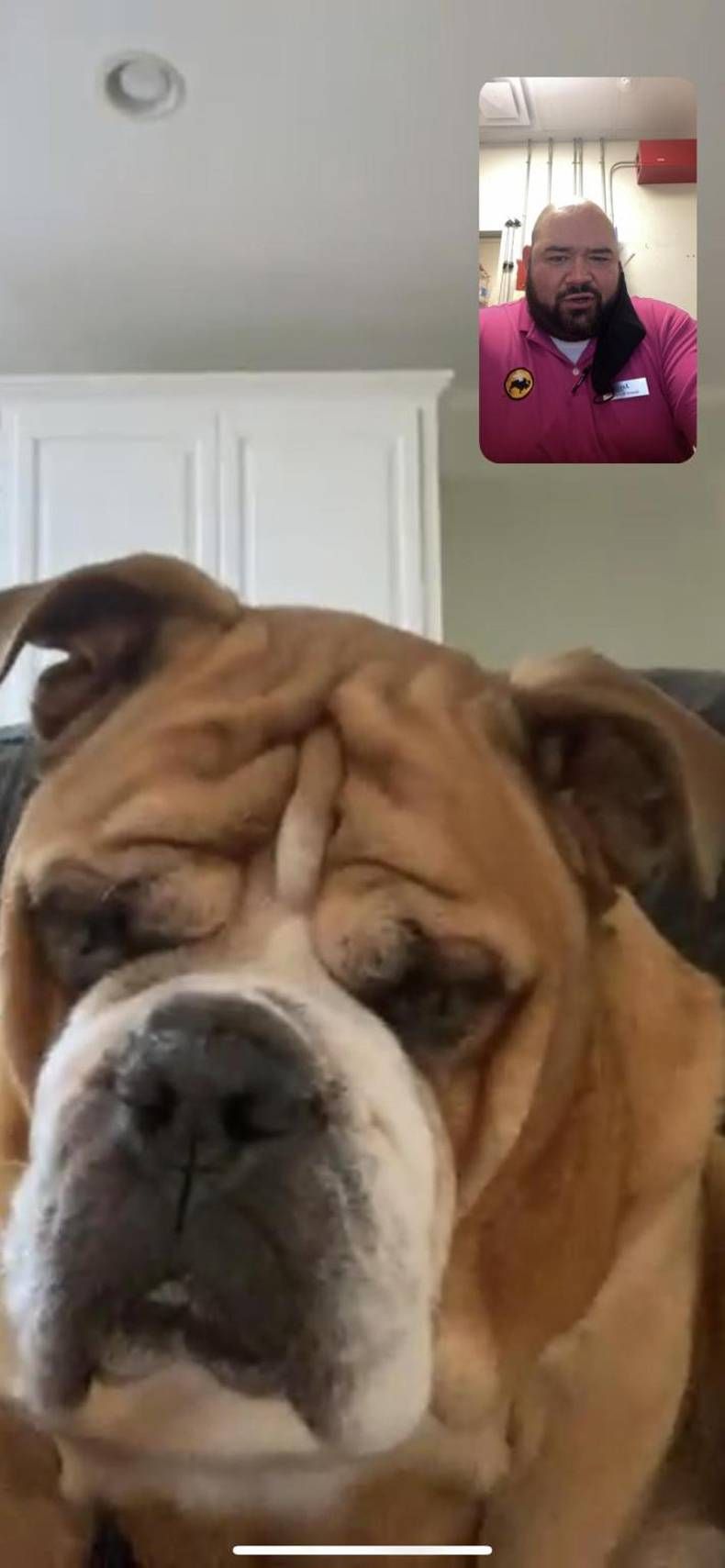 Gewoon een verzameling hilarische foto's #1389