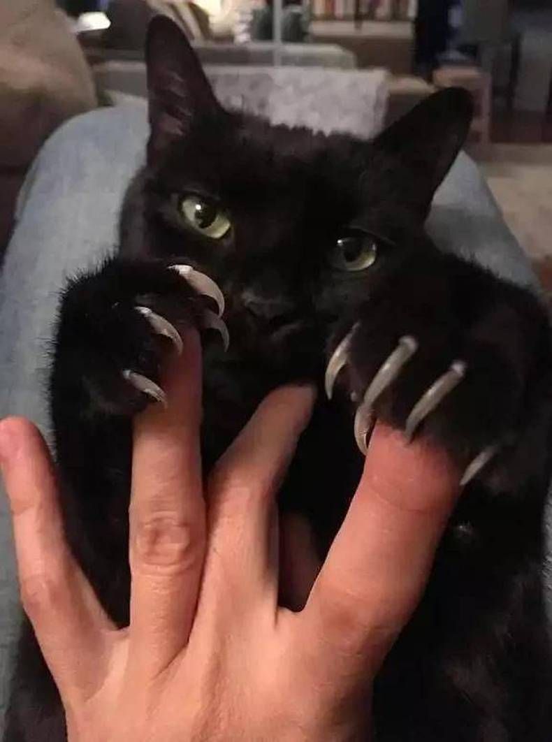 Gewoon een verzameling hilarische foto's #1390