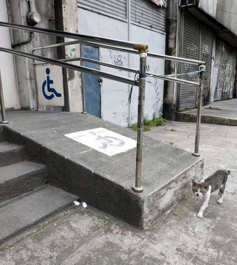 Gewoon een verzameling hilarische foto's #1482