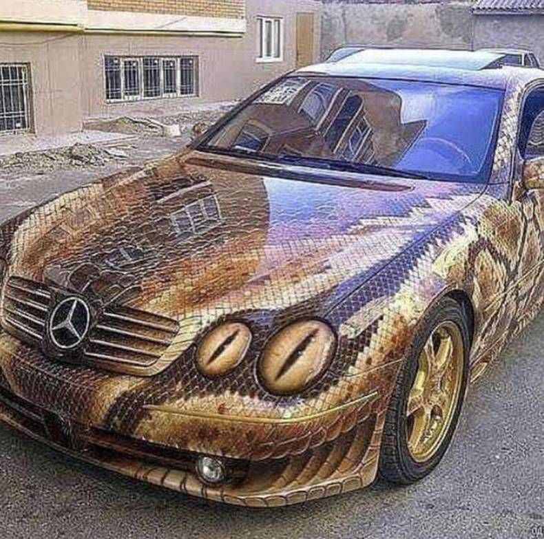 Gewoon een verzameling hilarische foto's #1477