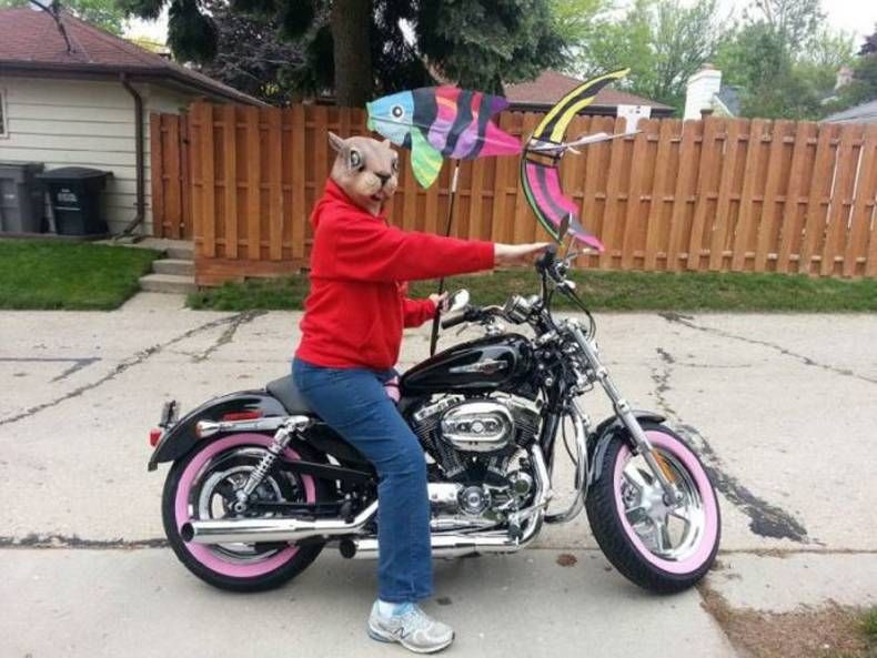 Gewoon een verzameling hilarische foto's #1469