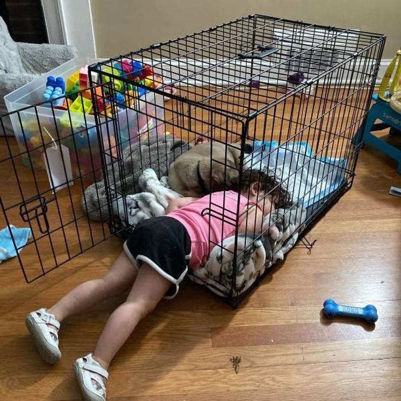 Gewoon een verzameling hilarische foto's #1466