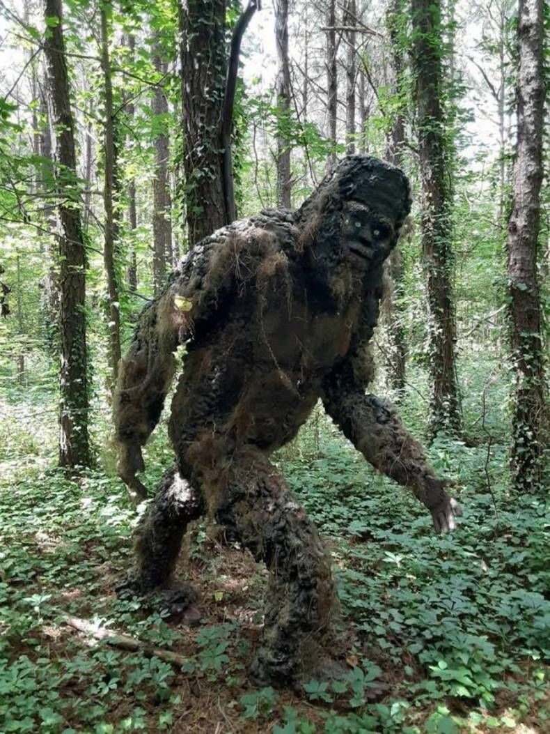 Gewoon een verzameling hilarische foto's #1462