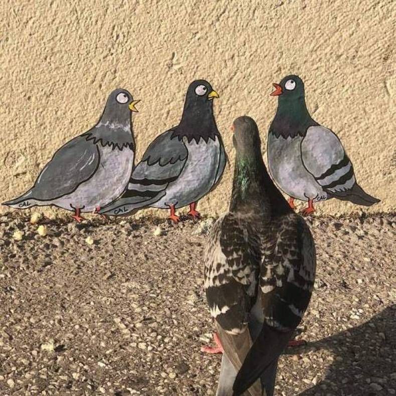 Gewoon een verzameling hilarische foto's #1447