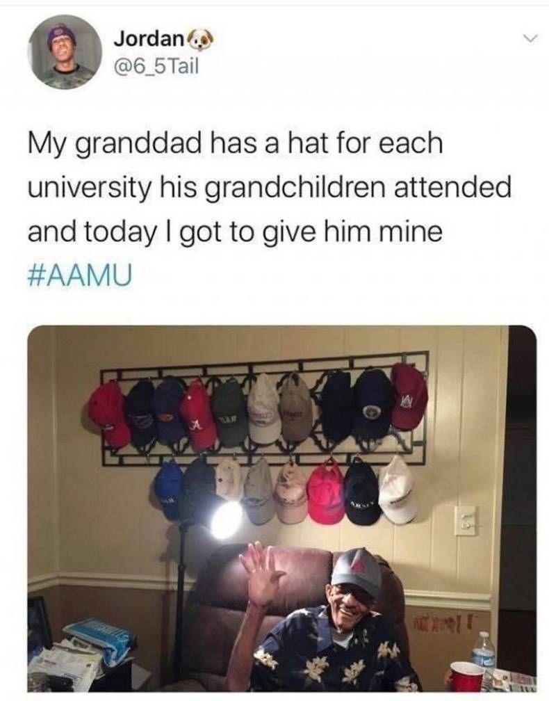 Gewoon een verzameling hilarische foto's #1436