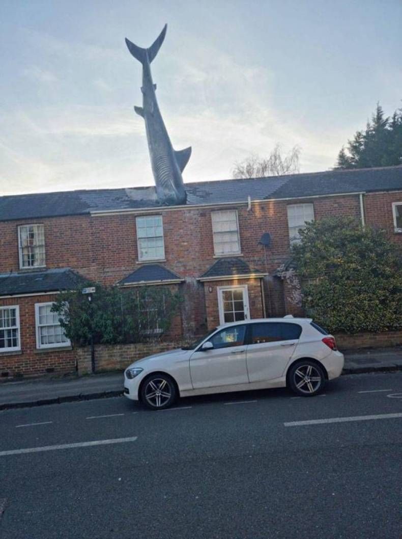 Gewoon een verzameling hilarische foto's #1420