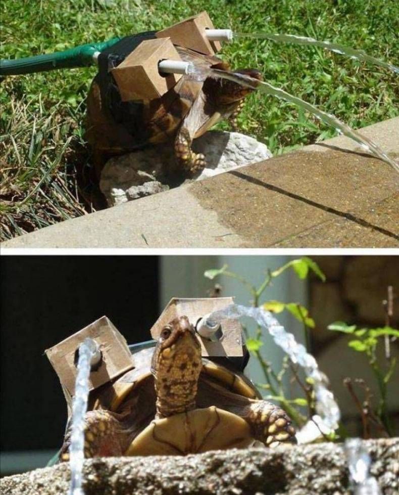 Gewoon een verzameling hilarische foto's #1382