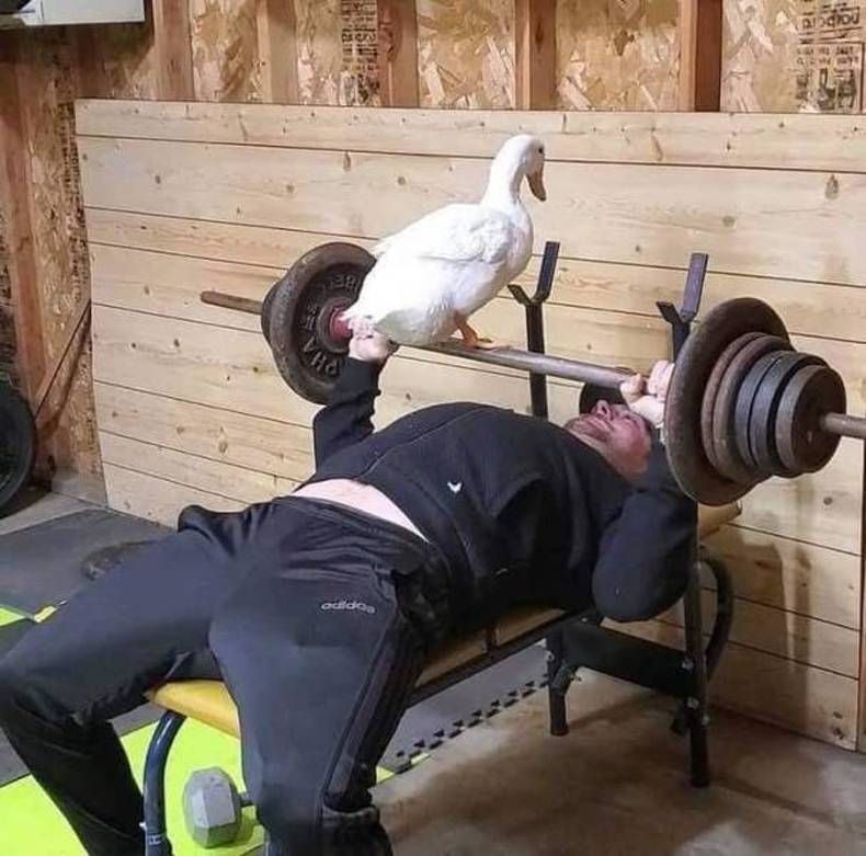Gewoon een verzameling hilarische foto's #1482