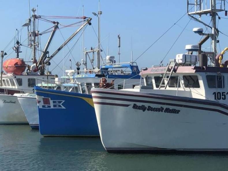 Gewoon een verzameling hilarische foto's #1477