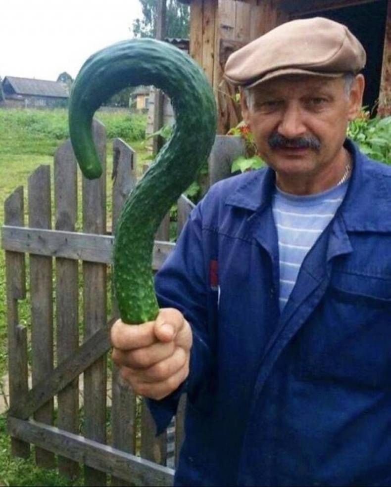 Gewoon een verzameling hilarische foto's #1469