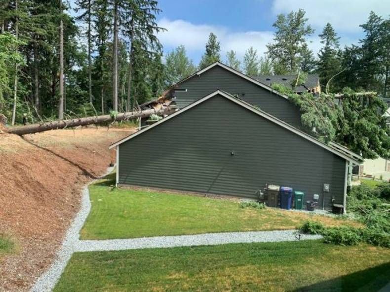 Gewoon een verzameling hilarische foto's #1468