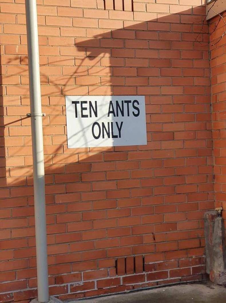 Gewoon een verzameling hilarische foto's #1479