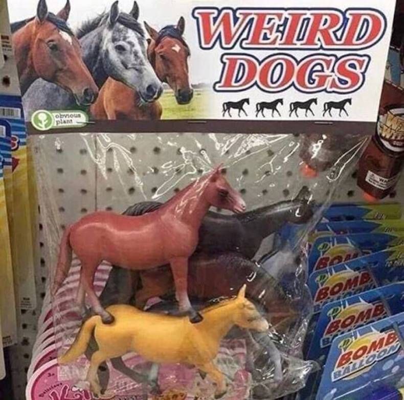 Gewoon een verzameling hilarische foto's #1390