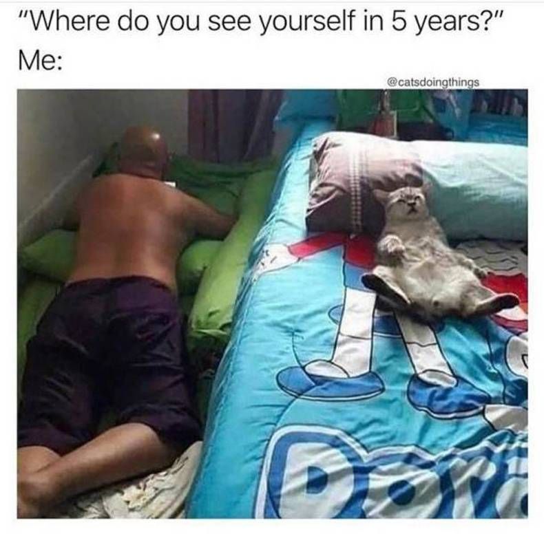Gewoon een verzameling hilarische foto's #1482
