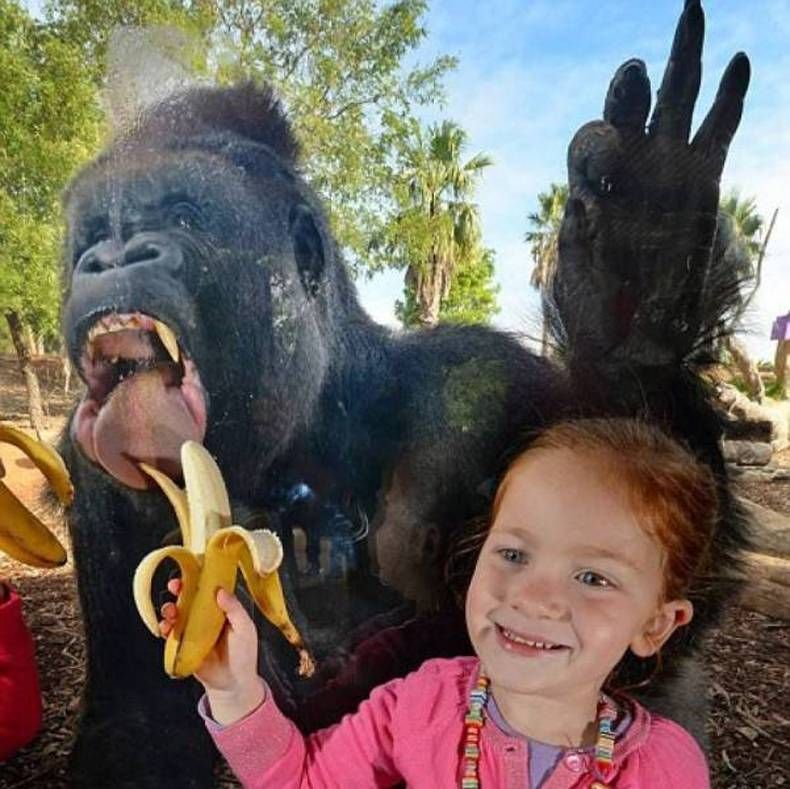 Gewoon een verzameling hilarische foto's #1473