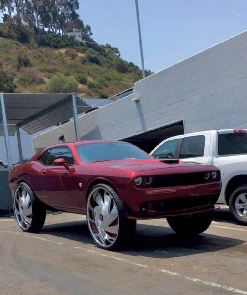 Gewoon een verzameling hilarische foto's #1469