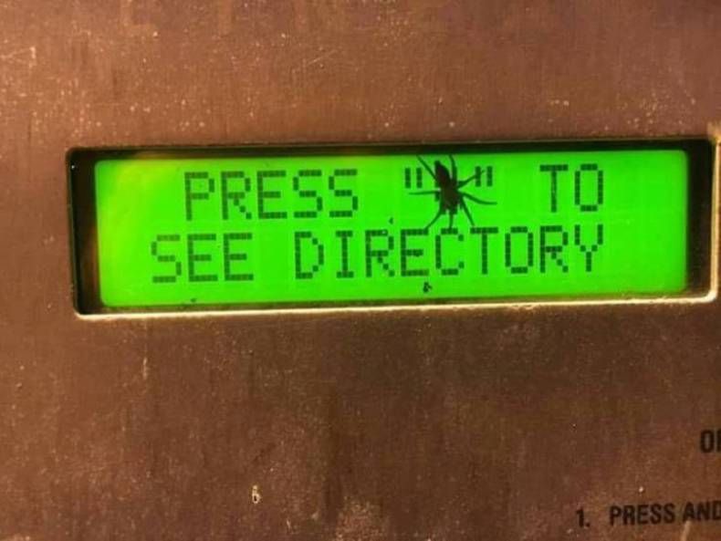 Gewoon een verzameling hilarische foto's #1466