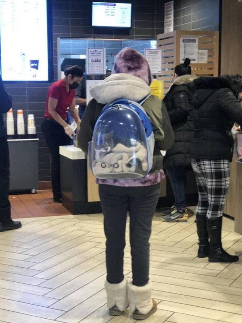 Gewoon een verzameling hilarische foto's #1395