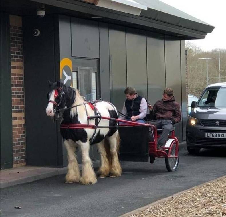 Gewoon een verzameling hilarische foto's #1393