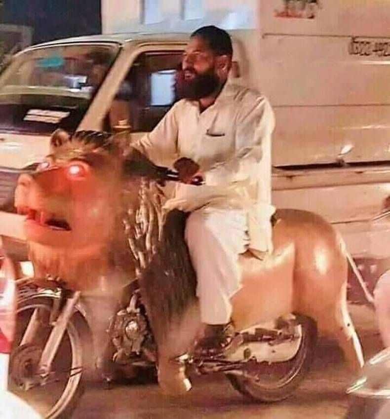 Gewoon een verzameling hilarische foto's #1447