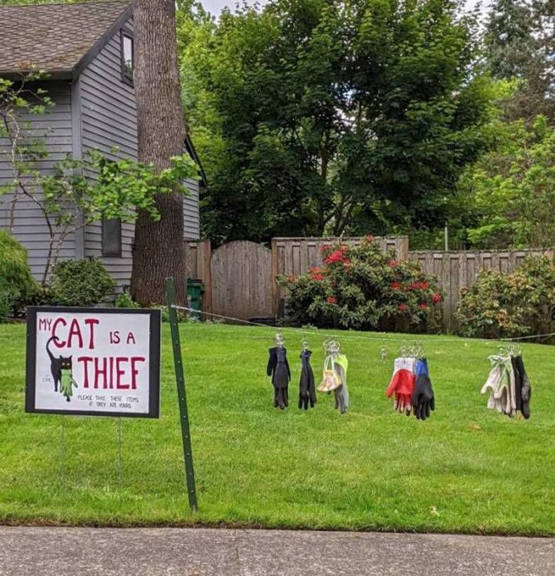 Gewoon een verzameling hilarische foto's #1447