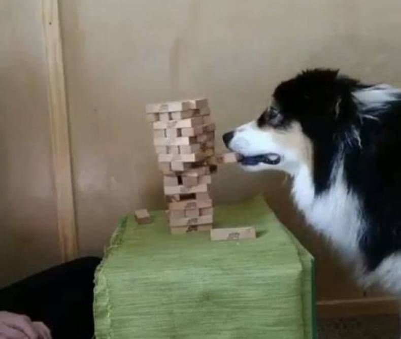 Gewoon een verzameling hilarische foto's #1436