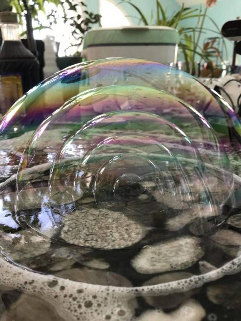 Gewoon een verzameling hilarische foto's #1409